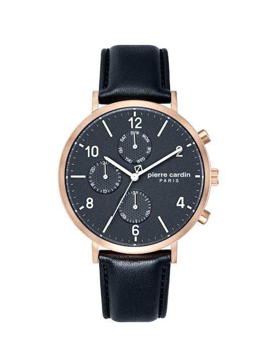 Часы Pierre Cardin Gents PC902641F11